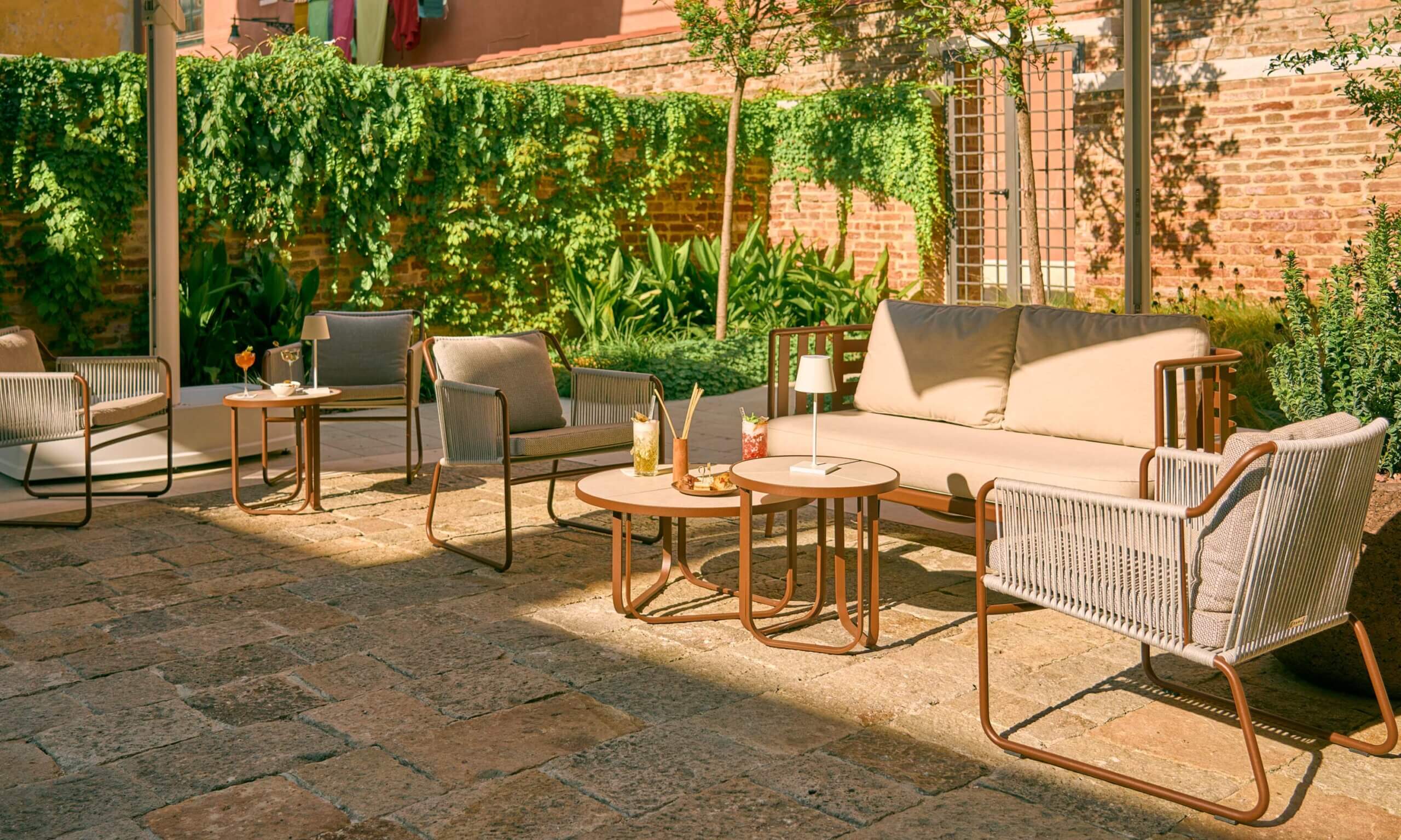 ეზოს მცენარეები